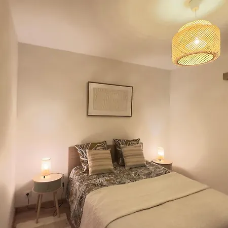 Charming And Spacious Two-room With Terrace アパート ニース