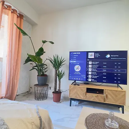Charming And Spacious Two-room With Terrace Apartmán Nice