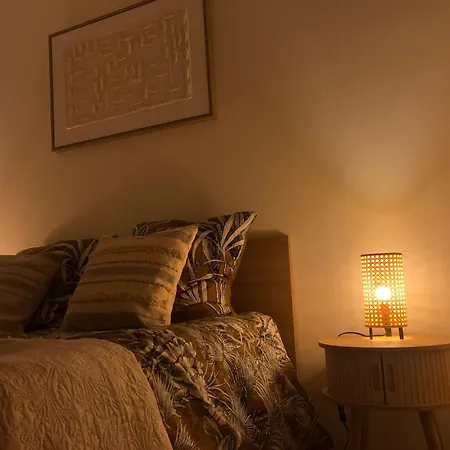 Grand 2 Pièces Avec Grande Terrasse à 15mn Centre-ville, Gare Et Promenade Des