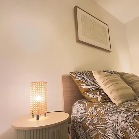 Grand 2 Pièces Avec Grande Terrasse à 15mn Centre-ville, Gare Et Promenade Des Nizza