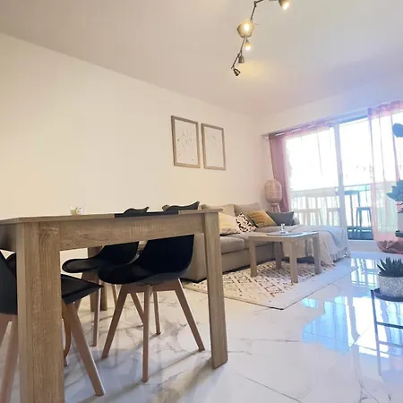 Charming And Spacious Two-room With Terrace And Ac 公寓 尼斯