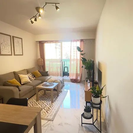 Charming And Spacious Two-room With Terrace And Ac Lejlighed Nice
