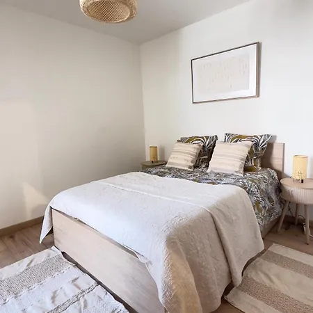 Grand 2 Pièces Avec Grande Terrasse à 15mn Centre-ville, Gare Et Promenade Des